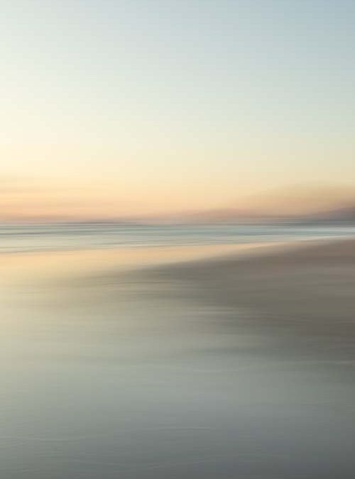 Shelly Linehan